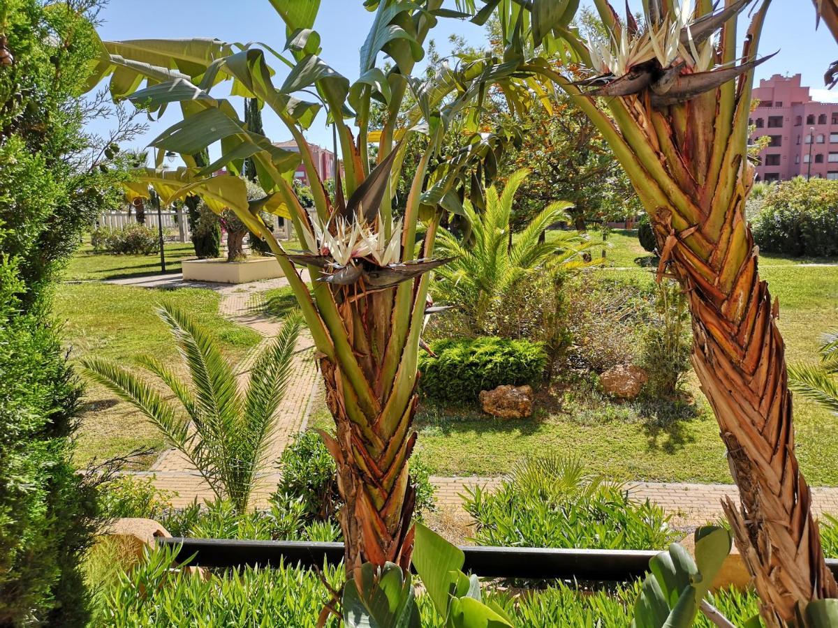 Jardines de Isla Canela, planta baja. Exterior foto